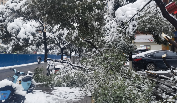 抗擊冰雪，他們在行動